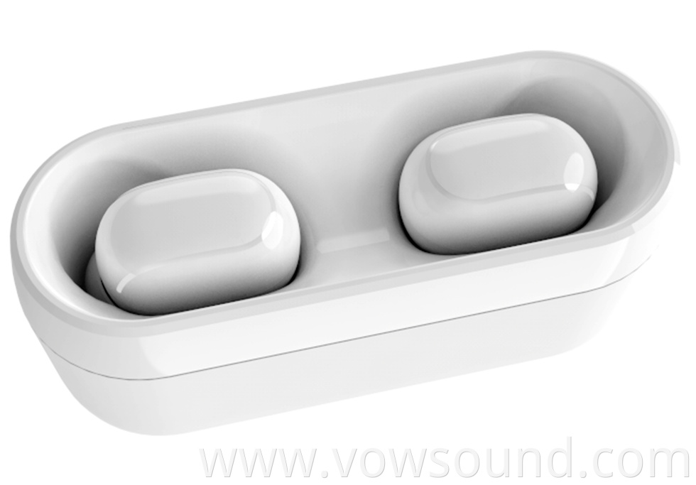 True Wireless Earbuds Bluetooth Earbuds